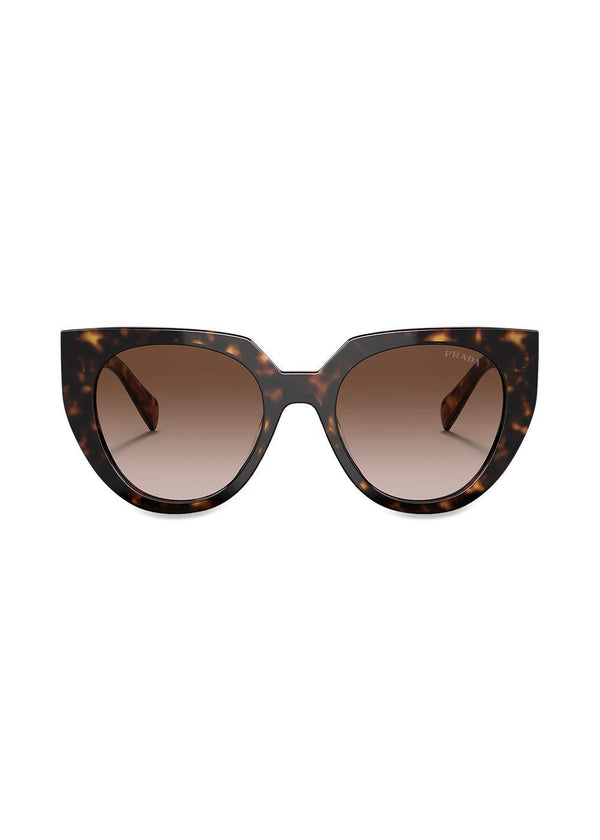0PR 14 WS - Brown Gradient
