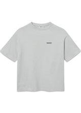 BARD - BOX FIT HEAVY T-SHIRT - Micro Chip