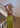 Danillamd dress - Split Pea-Dress-Modström-Butler Loftet