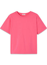 FIZVALLEY - Fluorescent Pink
