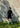 HALF-ZIP MIDLAYER TOP - Black-Sweatshirts-Bareen-Butler Loftet