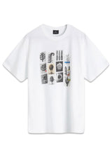 Reg Fit SS T Shirt Dessert - White-T-shirts-Paul Smith - PS-Butler Loftet