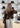Seashell Top - Soft Brown-Blouses-Sissel Edelbo-Butler Loftet