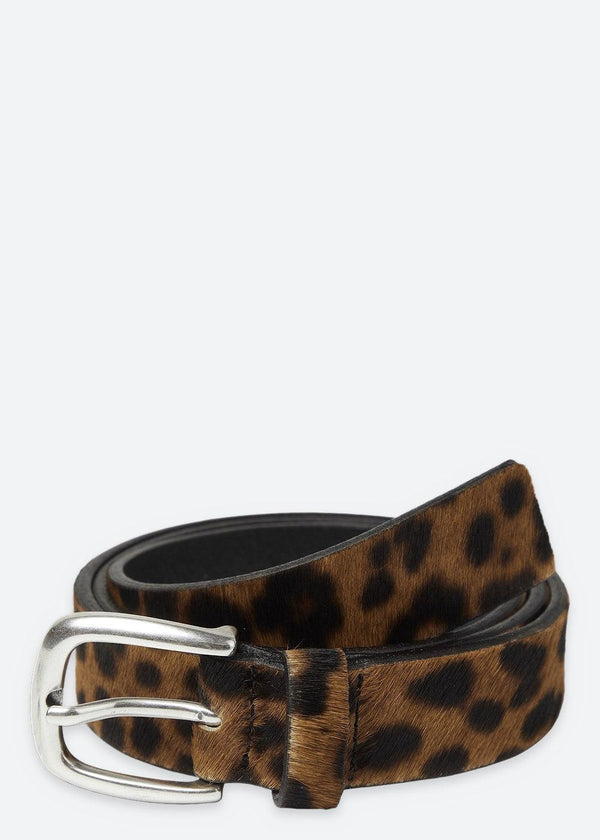 Shifu Base Belt - Dark Brown
