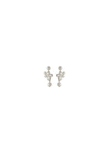 Treasure Earrings - Silver