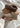 W Classic Ultra Mini - Antilope-Boots-UGG-Butler Loftet