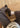 W Tazz - Molasses-Sandals-UGG-Butler Loftet