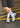 XT-6 GORE-TEX - White / Green Milieu / Ice Flow-Shoes-Salomon-Butler Loftet